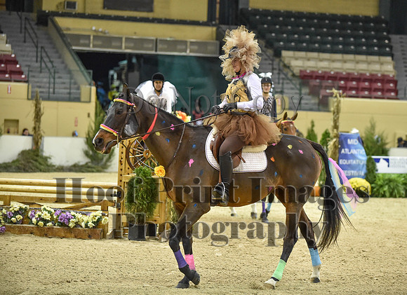 MidAtEqFest(11-14-15)1338