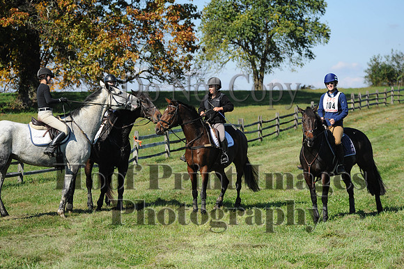 Cheshire(10-20-13)0096