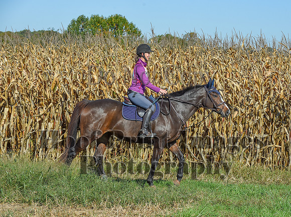 CheshirePonyClubPC(10-6-24)0103