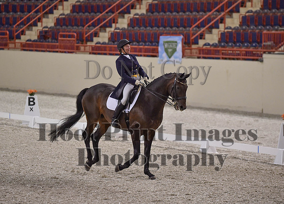 CWdressageI(8-20-16)1620