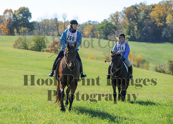 Cheshire(10-19-14)0101