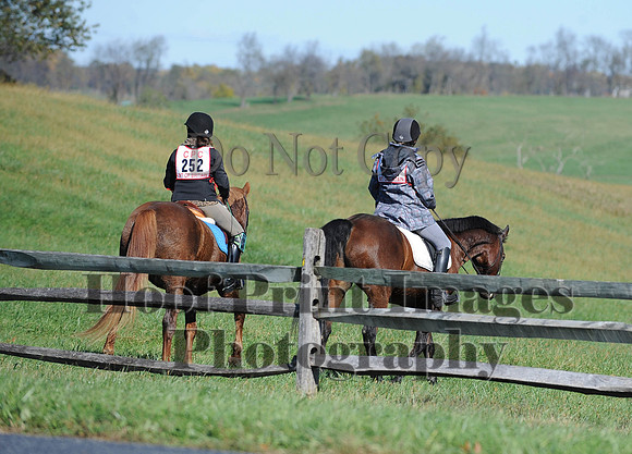 Cheshire(10-19-14)0087