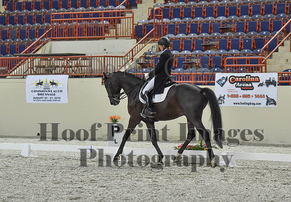 CWdressageI(8-20-16)1456