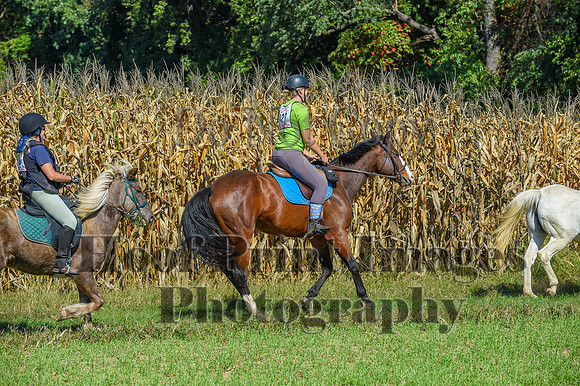 CheshirePonyClubPC(10-6-24)0551