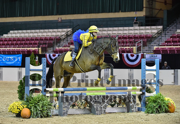 MidAtEqFest(11-14-15)1639