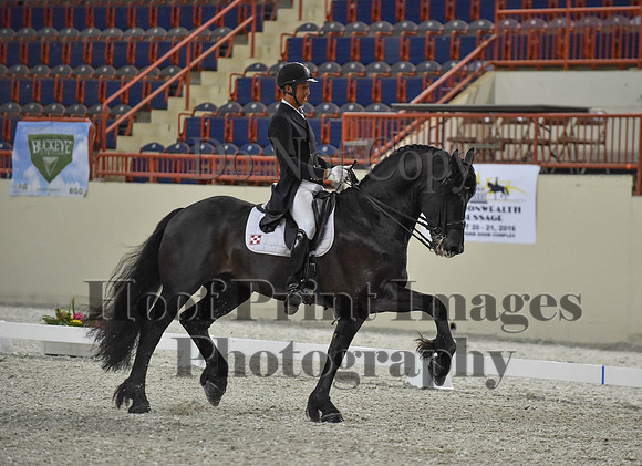 CWdressageI(8-20-16)1666