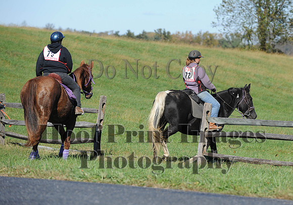 Cheshire(10-19-14)0276