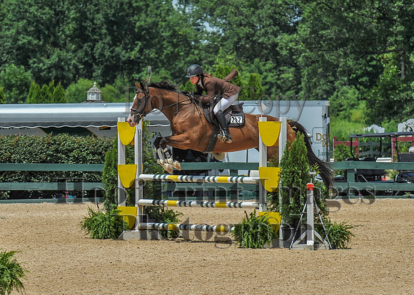 Mason-Dixon1(7-28-18)0458