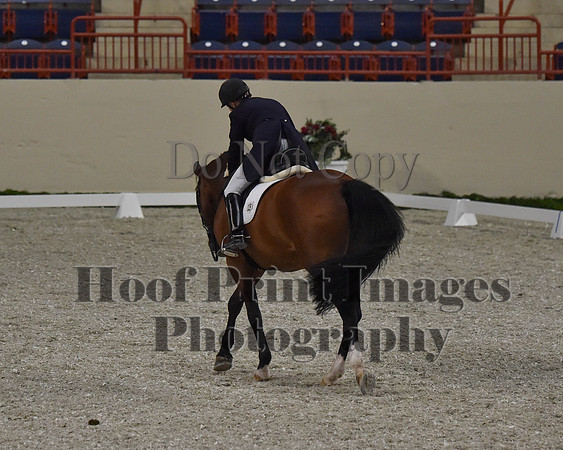 CWdressageII(8-21-16)0778