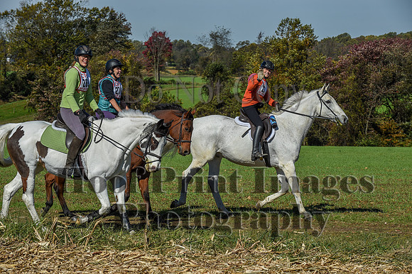 CheshirePC(10-18-20)0579