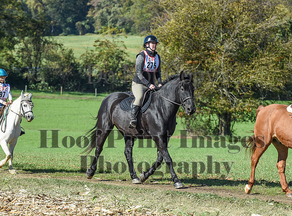 CheshirePC(10-18-20)0606