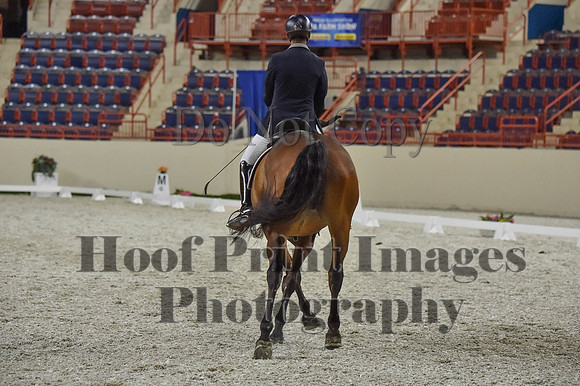 CWdressageI(8-20-16)1354