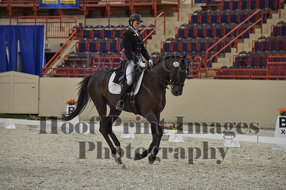 CWdressageI(8-20-16)0704