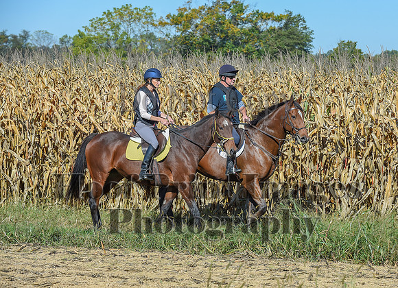 CheshirePonyClubPC(10-6-24)0125