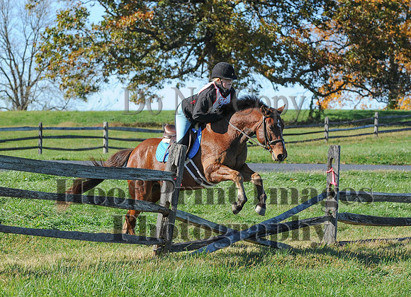 Cheshire(10-19-14)0395