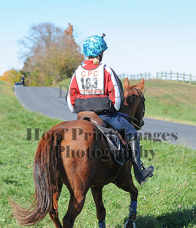 Cheshire(10-19-14)0332