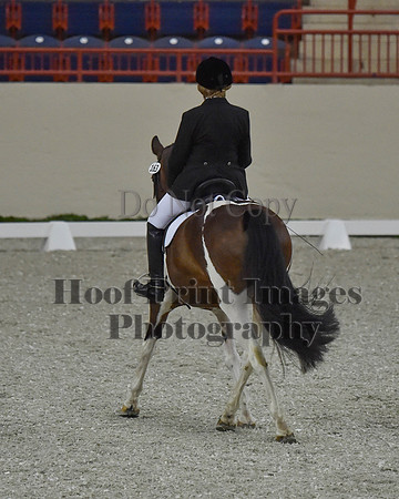 CWdressageII(8-21-16)1059