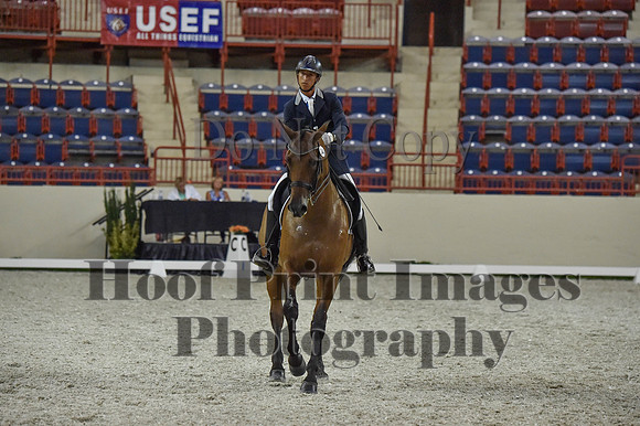 CWdressageI(8-20-16)1373