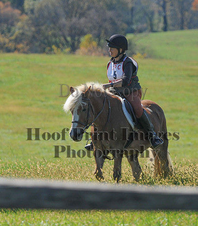 Cheshire(10-20-13)0069