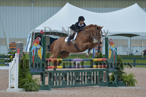 BRSa(5-17-14)HChAdJ0137