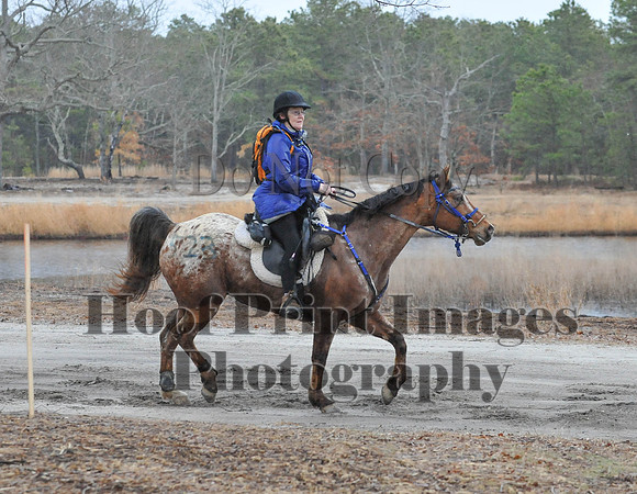 Rabbit(3-29-14)0090
