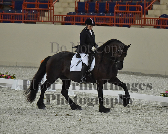 CWdressageII(8-21-16)2192