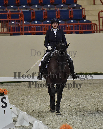 CWdressageII(8-21-16)0314