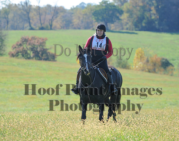 Cheshire(10-20-13)0373