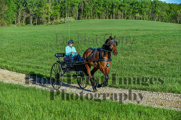ChesapeakeSpring(4-27-25)0042