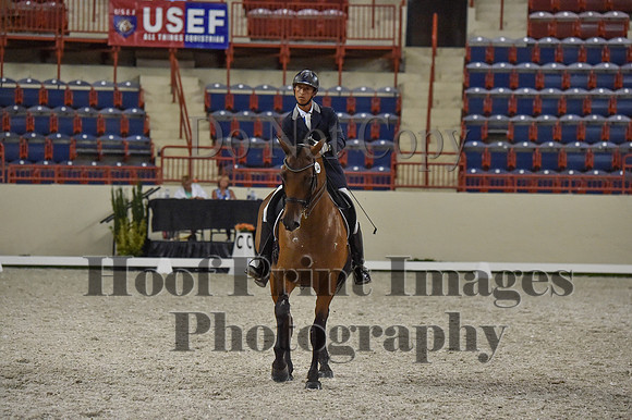 CWdressageI(8-20-16)1374