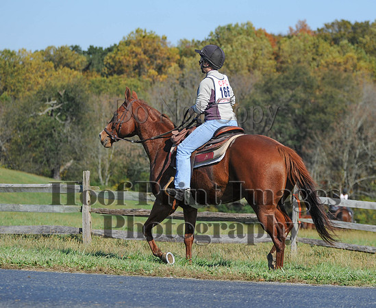 Cheshire(10-20-13)0542
