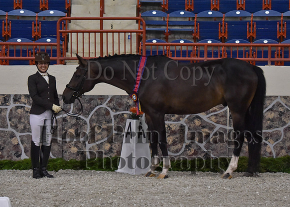 CWdressageII(8-21-16)1420