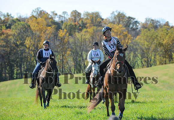 Cheshire(10-19-14)0285