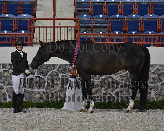 CWdressageII(8-21-16)1419