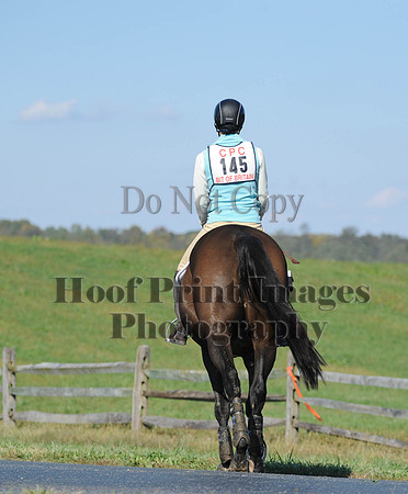 Cheshire(10-20-13)0684