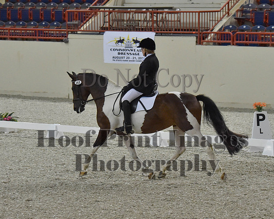 CWdressageII(8-21-16)1092