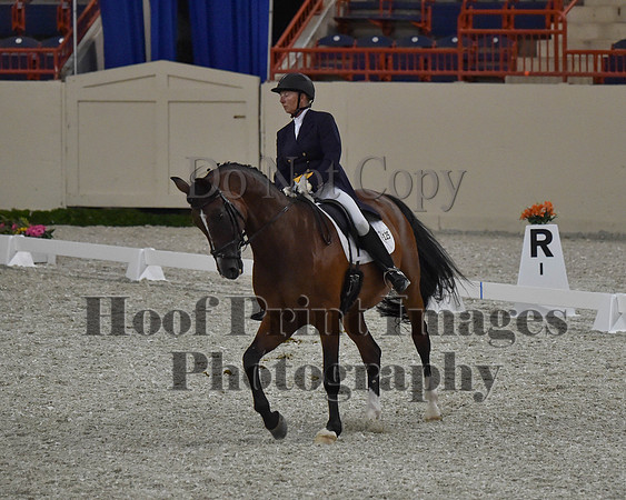 CWdressageII(8-21-16)0760