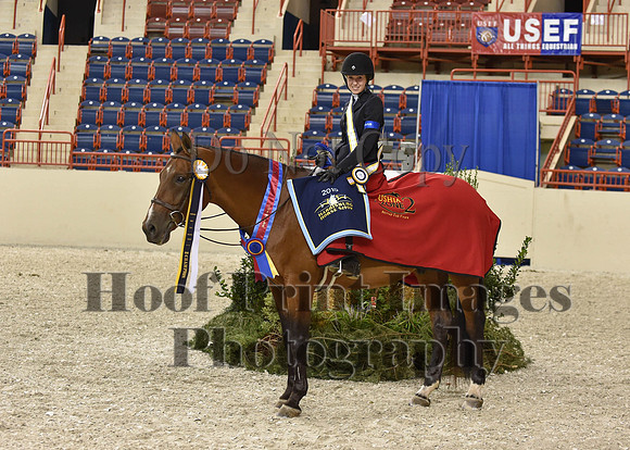 HarrisburgHS(8-23-15)1082