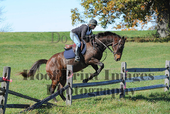 Cheshire(10-19-14)0244