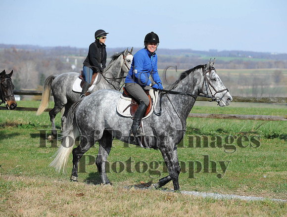 AndrewsBr(11-9-14)0281