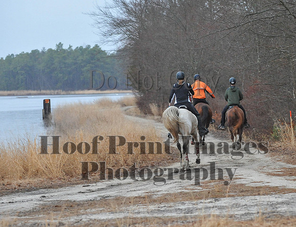 Rabbit(3-29-14)0069