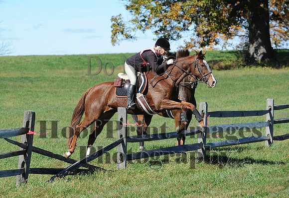 Cheshire(10-19-14)0034