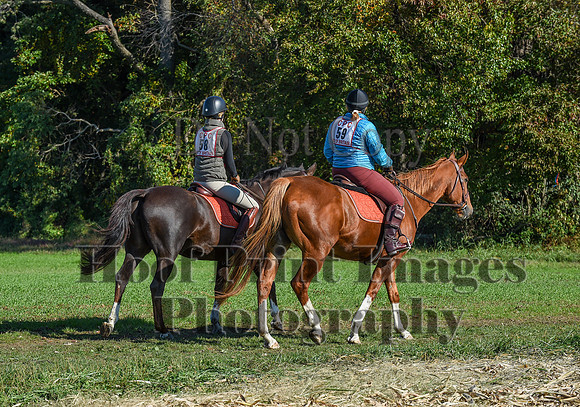 CheshirePC(10-18-20)0211