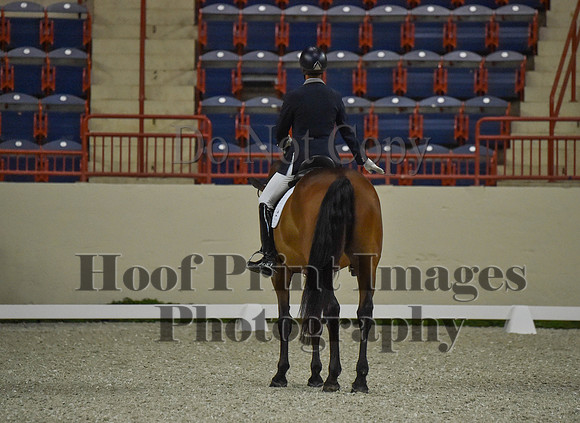 CWdressageI(8-20-16)0492