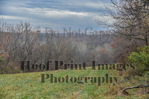 AndrewsBrHuntPace(11-10-24)0114