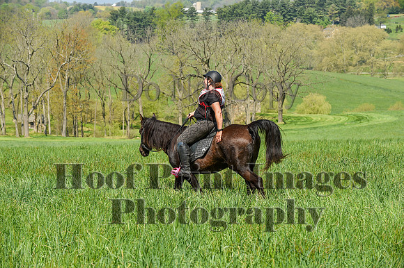 CheshireSpringPC1(4-28-24)0099