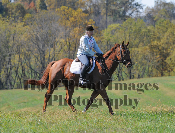 Cheshire(10-20-13)0029