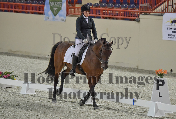CWdressageI(8-20-16)0118