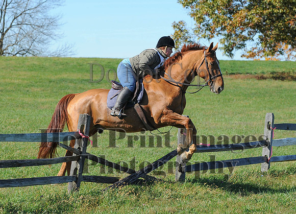 Cheshire(10-19-14)0313