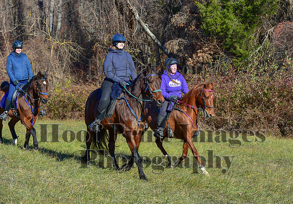FairHillFallPC(11-30-24)0277